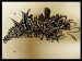graffiti_by_yraahov